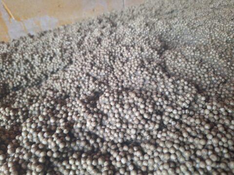 Isolation EPS Greenbead : Une Solution Écologique et Efficace pour l’Isolation