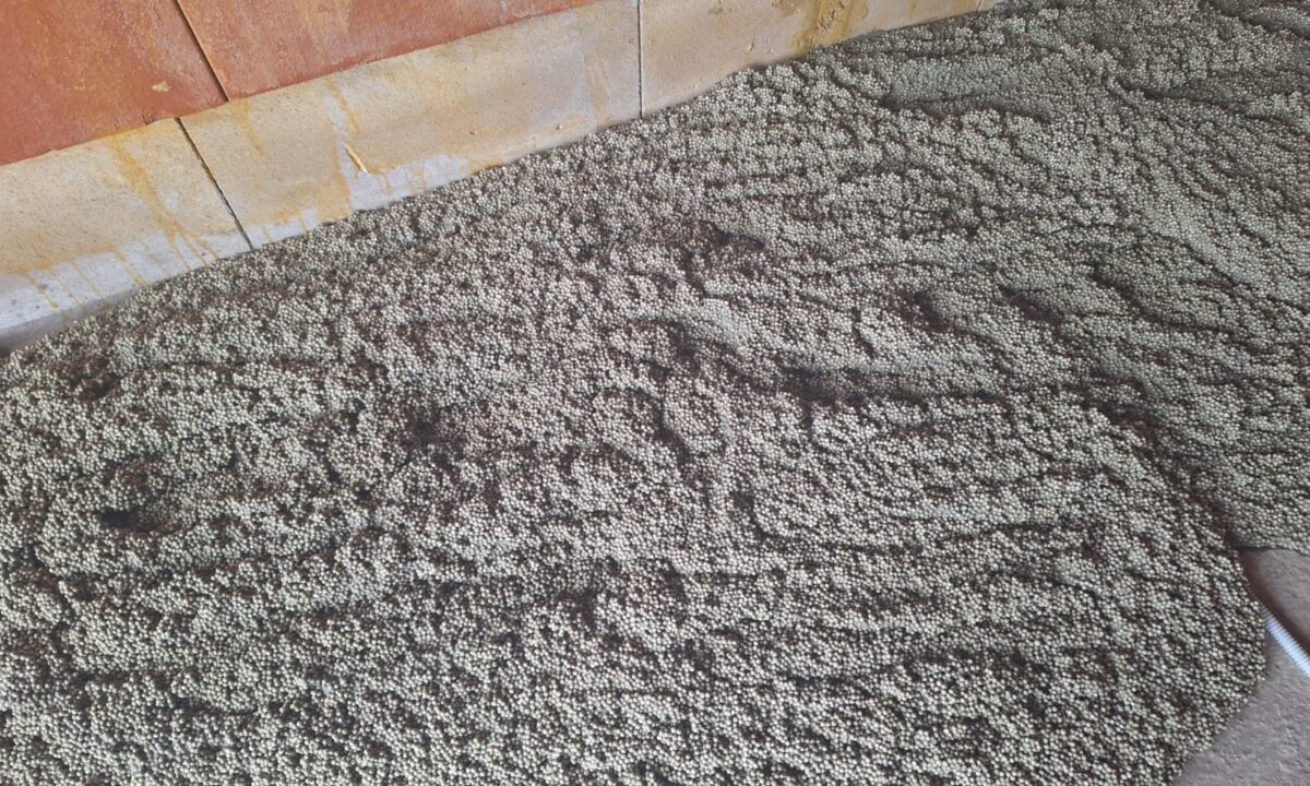 Travaux de plafonnage et d&rsquo;isolation à Waterloo